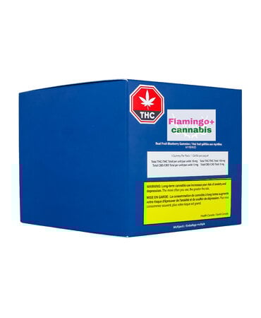 WYLD Wyld Blueberry Indica Gummies 10X10G