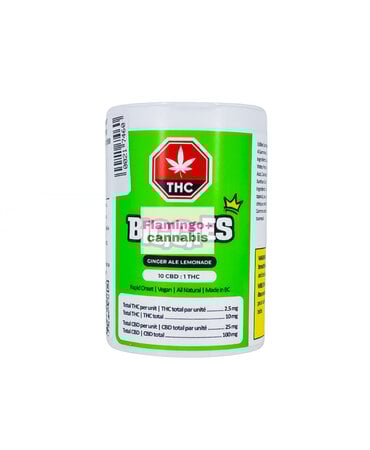 biggies Biggies Ginger Ale Lemonade Hybrid Gummies 4X2.5MG