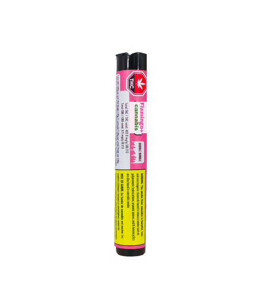 Status Bubble Bubble Blunt  Kief Coated LD  Sativa Infused Glass Tip Pre-Rolls 1X1G