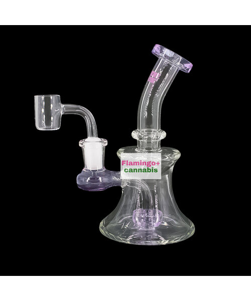 Red Eye Glass 5" Bell Dab Rig Purple