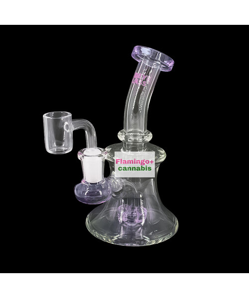 Red Eye Glass 5" Bell Dab Rig Purple