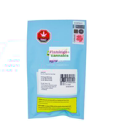 Boxhot Cruise Control Island Drift Sativa AIO Disposable 2G