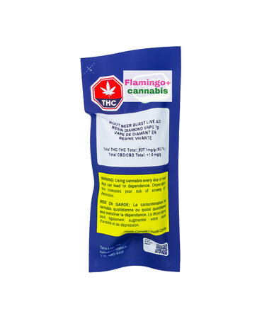 TERRA LABS Terra Labs Rootbeer Burst Indica AIO Disposable 1G