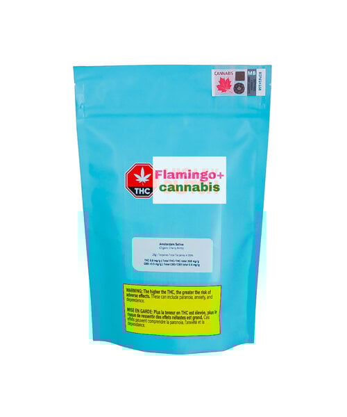 Highly Dutch Amsterdam Sativa Flower 28G