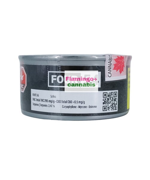 Four54 Route 66 Craft Sativa Flower 7G