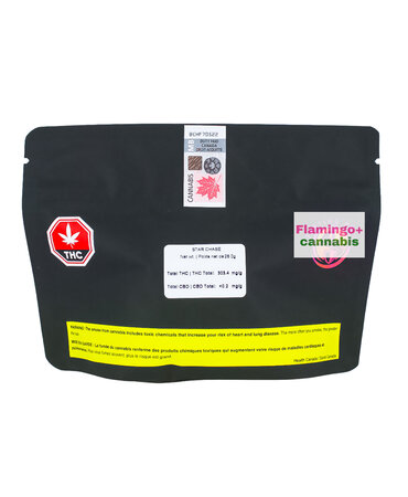 Starting Point! Starting Point! Star Chase Sativa Flower 28G