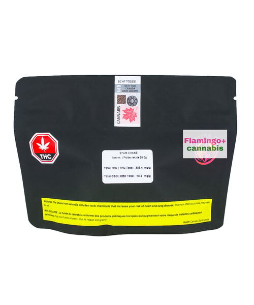 Starting Point! Star Chase Sativa Flower 28G
