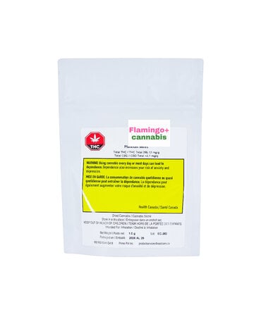 Four54 Eastcann Platinum Mints Craft Hybrid Flower 1G
