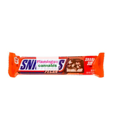 ExoSweet Misc. Snickers Pecan Share Size Chocolate Bar