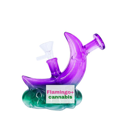 SeshGear SeshGear 5" Over The Moon Glass Bubbler