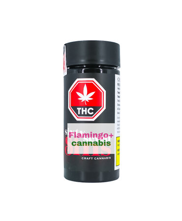 SIXTY SEVEN SINS Sixty Seven Sins Canadian Chill Mickey Kush Craft Indica Pre-Rolls 10X0.5G