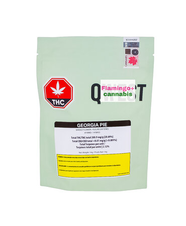 qwest Qwest Georgia Pie Craft Hybrid Flower 14G