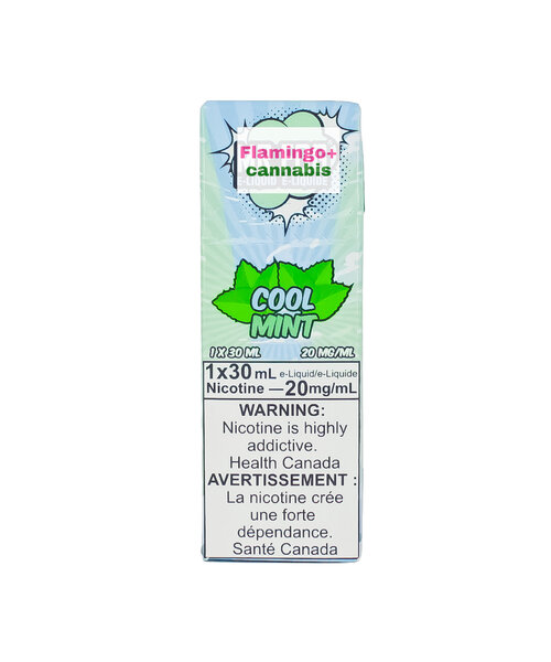 Mr Fog Salt 30ml 20mg MB Cool Mint