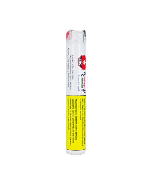 Broken Coast Blue Dream Craft Sativa Blunt 1G