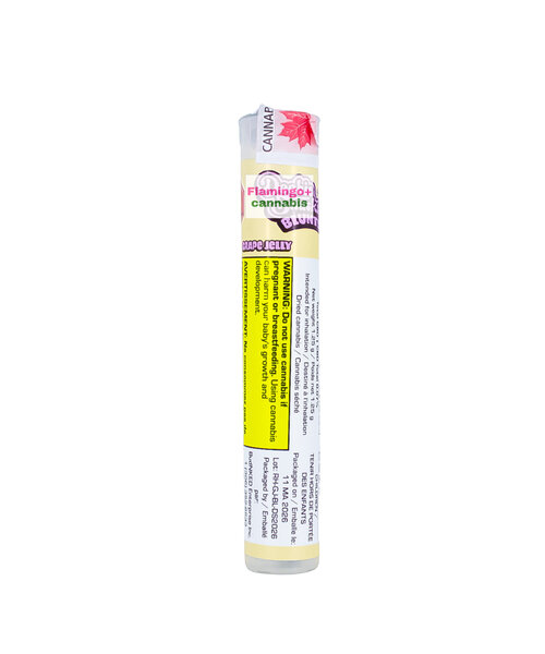 Doobie Snacks Grape Jelly Hybrid Blunt 1.25G