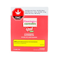 Sourz Fully Blasted Strawberry Watermelon CBG Sativa Gummies 10X10MG