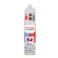 Chill Twisted SALT Raspberry Watermelon 60mL MB 20mg