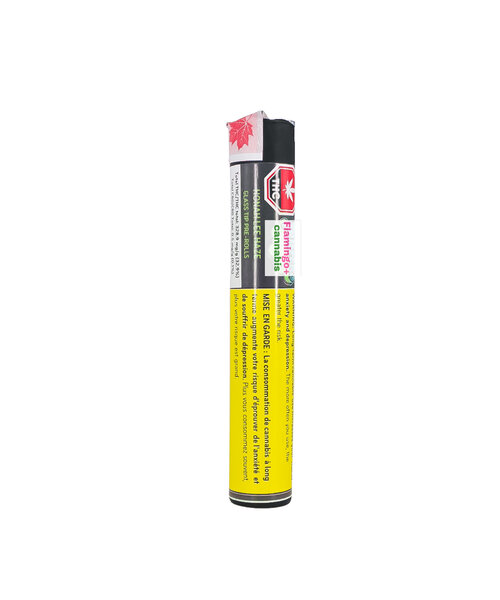 Puffers Paradise Honahlee Haze Sativa Glass Tip Pre-Rolls 3X0.5G