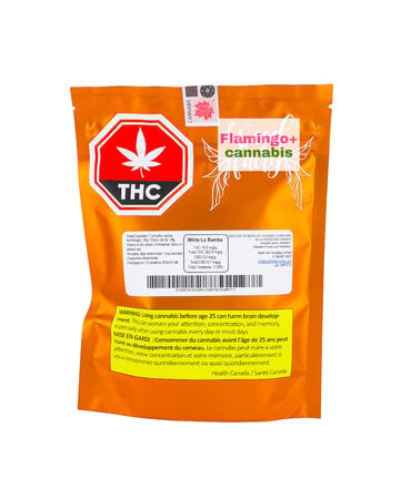 Gemstones Weed Fairy White La Bamba Sativa Flower 28G