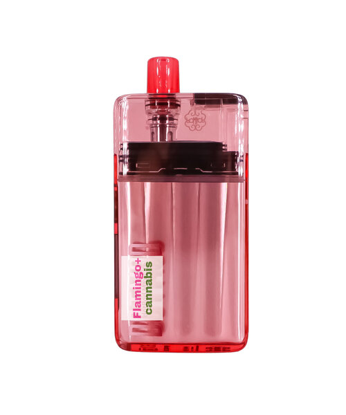 DotMod DotPod Max Lite Pod Kit