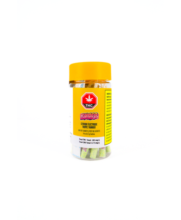 SHRED Shred Tropic Thunder Jar of Js Hybrid Pre-Rolls 14X0.5G