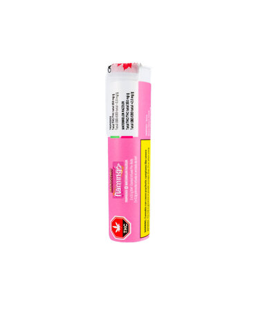 rizzlers Rizzlers Twisters Tropicoco + Watermelon Infused Pre-Rolls 2X0.5G