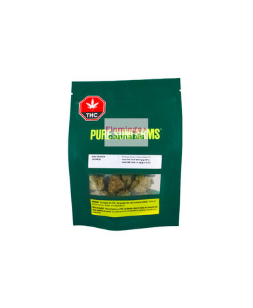 Pure Sun Farms Pure Sun Farms Day Tripper Hybrid flower 7G