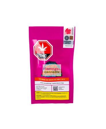 no future No Future ZeroPoint95 The Orange One Sativa Cartridge 0.95G