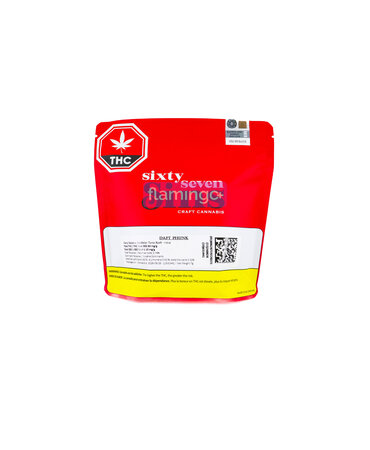 SIXTY SEVEN SINS Sixty Seven Sins Daft Phunk Craft Hybrid Flower 7G