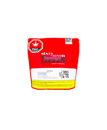 SIXTY SEVEN SINS Sixty Seven Sins Gas Face Craft Indica Flower 7G