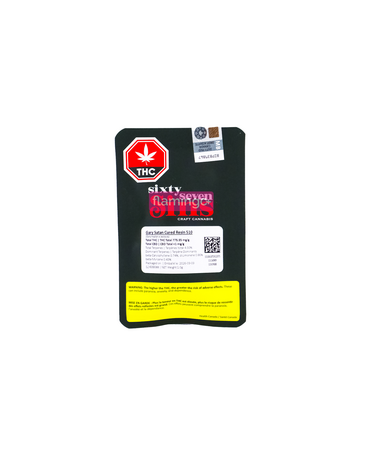 SIXTY SEVEN SINS Sixty Seven Sins Gary Satan Cured Resin Hybrid Cartridge 1G