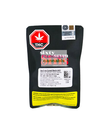 SIXTY SEVEN SINS Sixty Seven Sins Gas Face Cured Resin Hybrid Disposable 1G