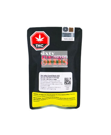 SIXTY SEVEN SINS Sixty Seven Sins Cap Jnky Cured Resin Indica Disposable 1G