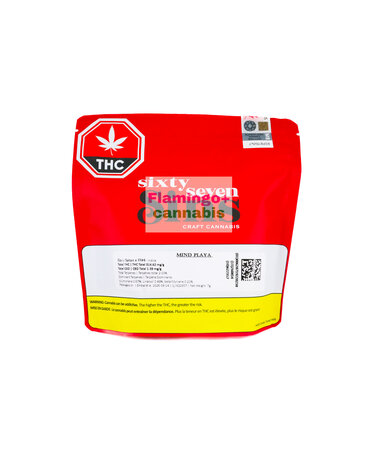SIXTY SEVEN SINS Sixty Seven Sins Mind Playa Craft Indica Flower 7G