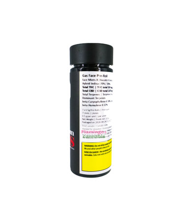 67 sins Sixty Seven Sins Gas Face Craft Indica Pre-Rolls 7X0.5G