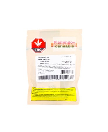 staycation Staycation Cloud Kicker Sativa Flower 7G