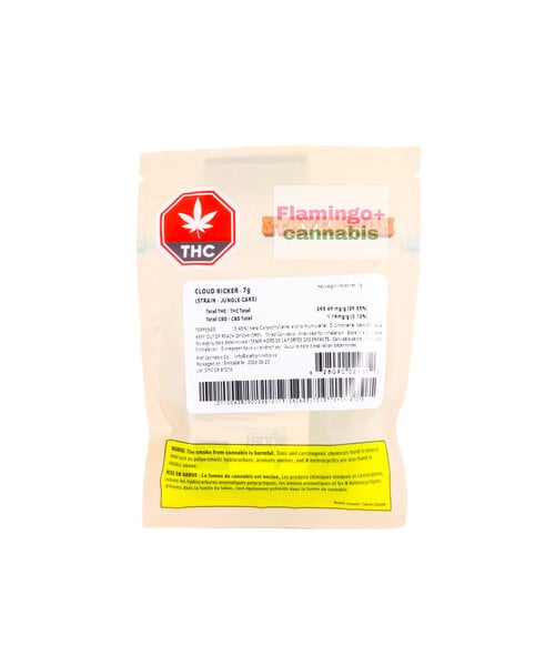 Staycation Cloud Kicker Sativa Flower 7G