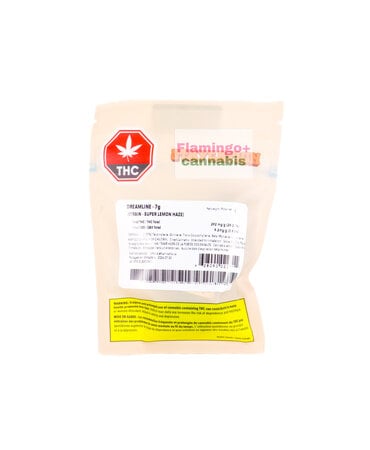 staycation Staycation Dreamline Hybrid Flower 7G