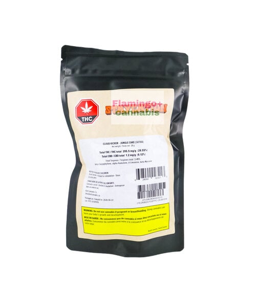 Staycation Cloud Kicker Sativa Flower 28G