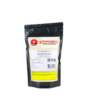 staycation Staycation Dreamline Hybrid Flower 28G