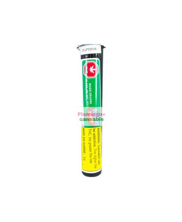 puffers Paradise Puffers Paradise Magik Dragon Glass Tip Indica Pre-Roll 1X0.5G