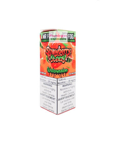 Mr Fog Mr Fog Salt 30ml 20mg MB Strawberry Steezy Watermelon