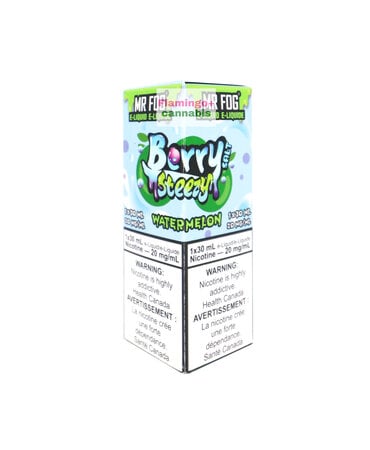 Mr Fog Mr Fog Salt 30ml 20mg MB Berry Steezy Watermelon