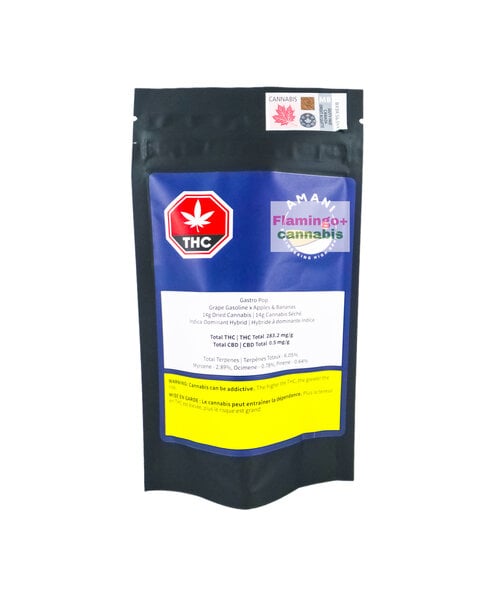 Amani Craft Gastro Pop Craft Hybrid Flower 14G
