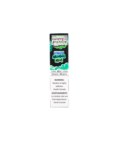 Flavour Burst Salt 60ml 20mg MB Frozen Menthol Mint