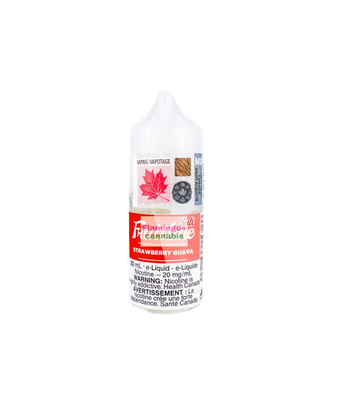 FRUITBAE Salt Strawberry Guava Salt 30mL MB 20mg