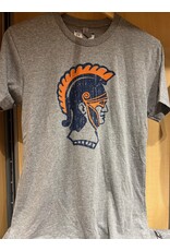 Roman Head Triblend T-Shirt Gray