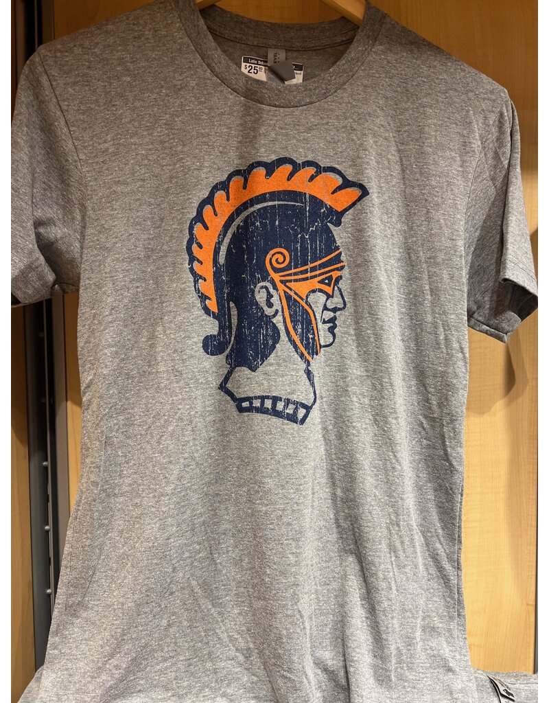Roman Head Triblend T-Shirt Gray