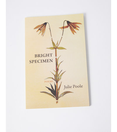 Deep Vellum Books Bright Specimen