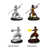 WizKids D&D Nolzur's Marvelous Miniatures: Female Half-Elf Monk (W10)